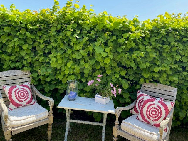 Cushions  image 0