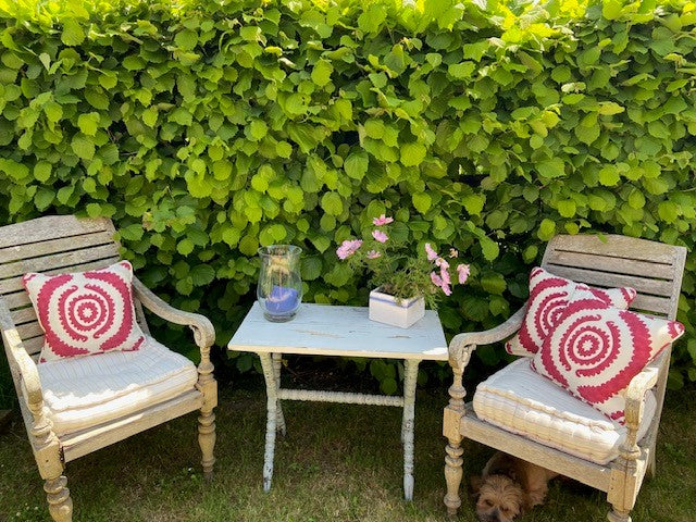 Cushions  image 1